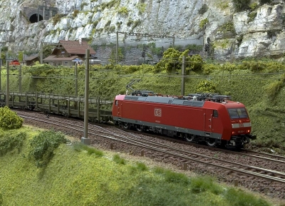 BD BR 185