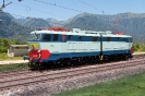 E 656 Caimano